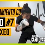 Ejercicios complementarios que potencian tu entrenar resistencia cardiovascular con saco